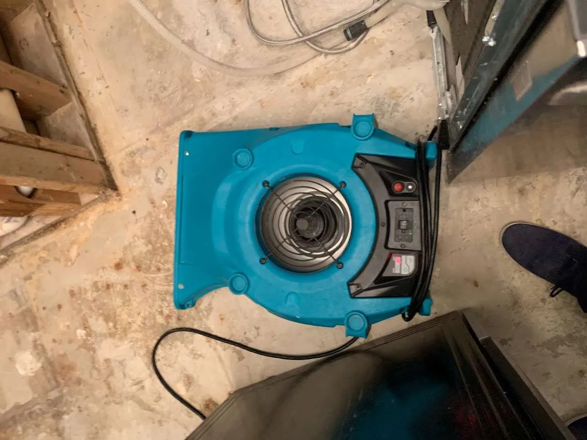 Air mover drying equipment for Mold Remediation & Removal in Cohasset