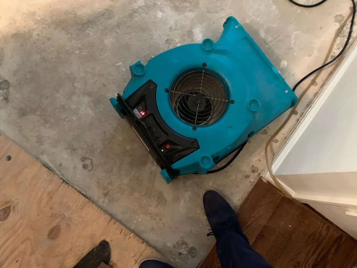 Air mover drying subfloor during Commercial Water Damage Restoration in Cohasset