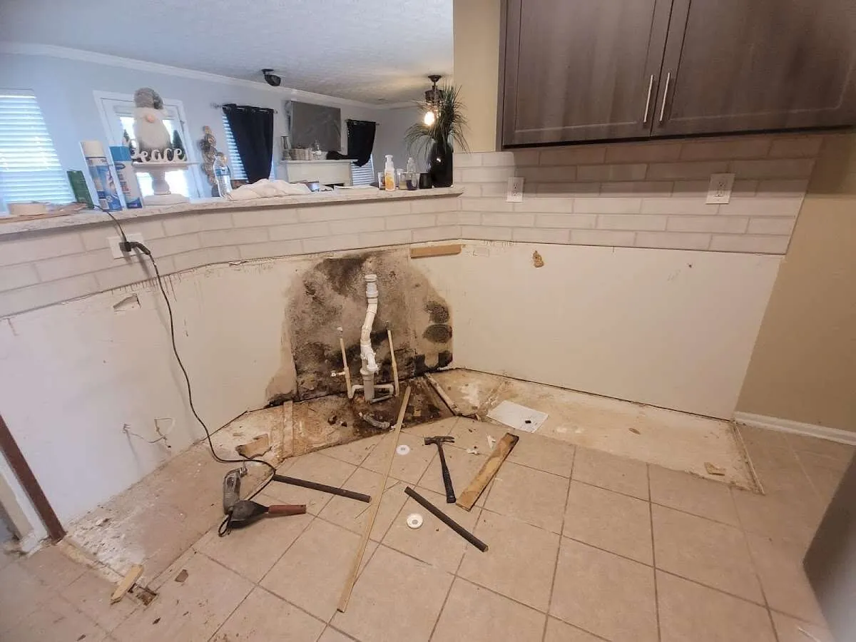 Mold behind wall with plumbing during Flood Damage Cleanup in Cohasset